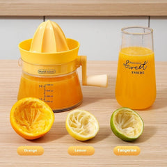 Manual Juicer